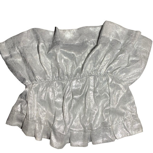 TCEC Tops - TCEC | Silver Strapless Metallic Top | Size Large